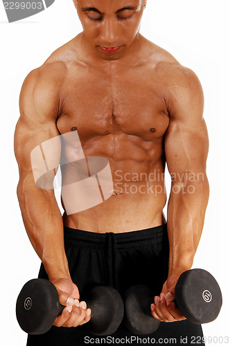 Image of Lifting dumbbells.