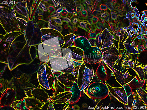 Image of neonflower