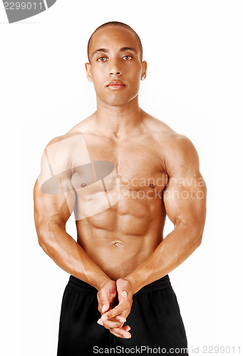Image of Bodybuilder portrait.