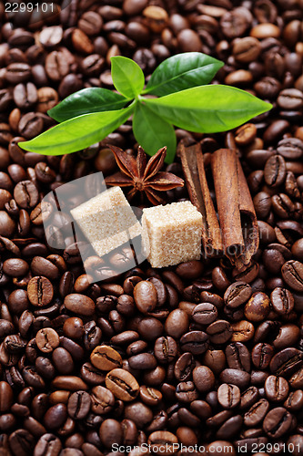 Image of coffee beans