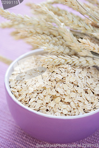 Image of bowl of oats