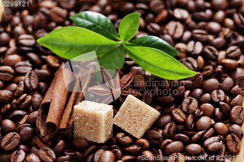 Image of coffee beans
