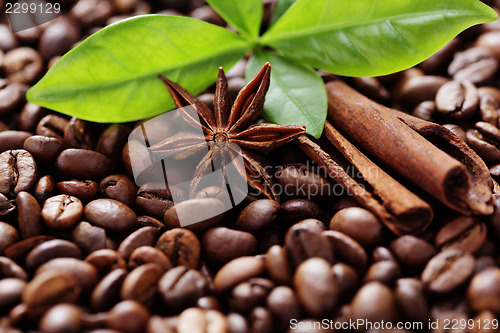 Image of coffee beans