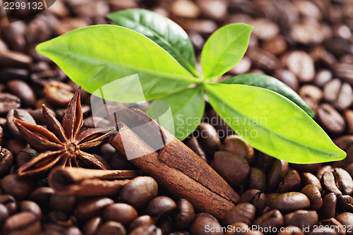 Image of coffee beans