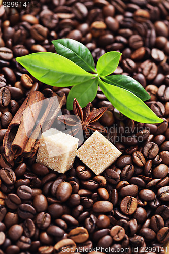 Image of coffee beans