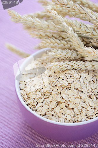 Image of bowl of oats