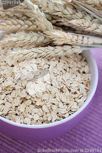 Image of bowl of oats