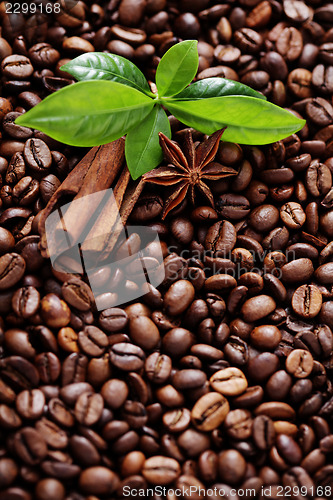 Image of coffee beans