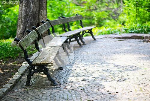 Image of Bench in the park