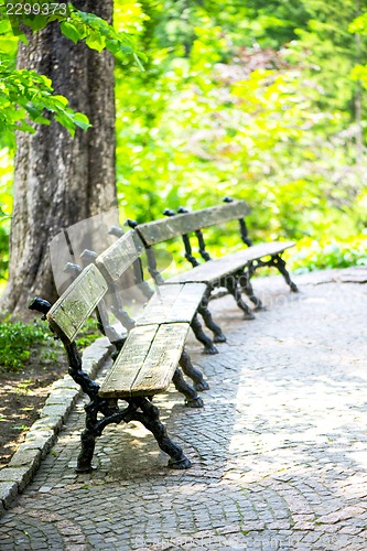 Image of Bench in the park