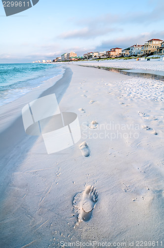 Image of florida beach scene