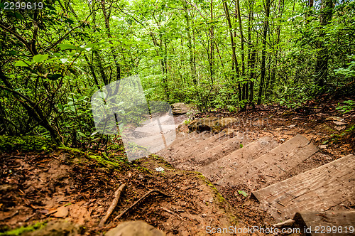 Image of things you find on a hiking trail in state park