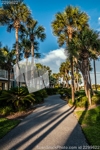 Image of florida beach scene