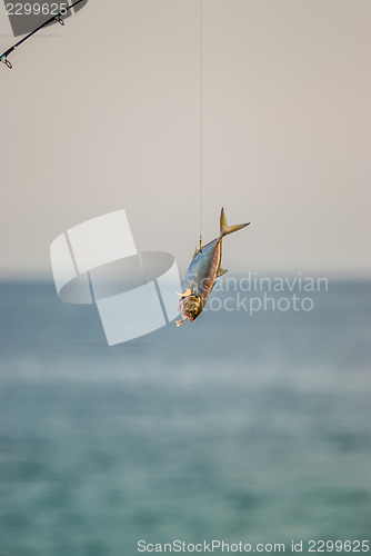 Image of florida beach scene