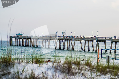 Image of florida beach scene