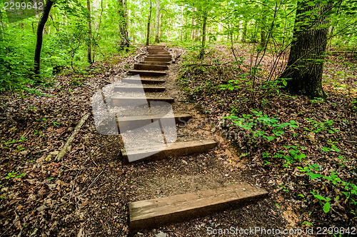 Image of things you find on a hiking trail in state park