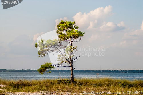 Image of florida beach scene