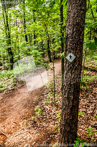 Image of Hiking trail sign on the forest paths