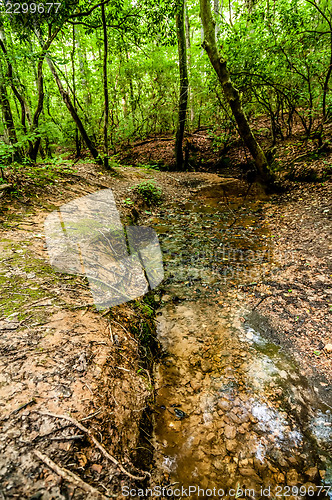 Image of things you find on a hiking trail in state park