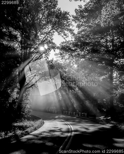 Image of early morning on blue ridge parkway