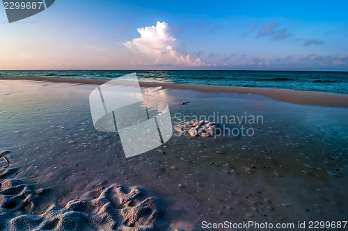 Image of florida beach scene