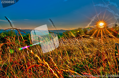 Image of early morning on blue ridge parkway