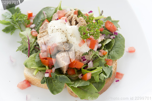 Image of Open Tuna Salad Sandwich