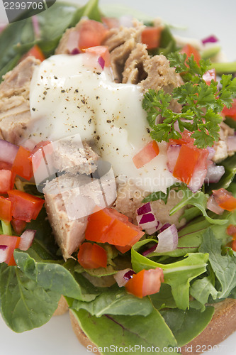 Image of Open Tuna Salad Sandwich