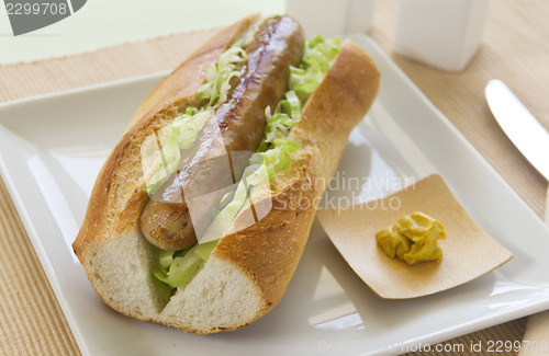 Image of Pork And Cabbage Hot Dog