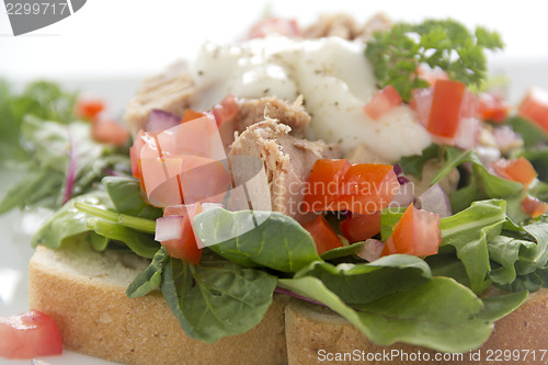 Image of Open Tuna Salad Sandwich
