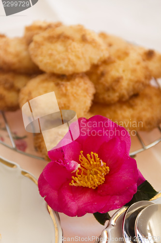 Image of Camellia And Macaroons