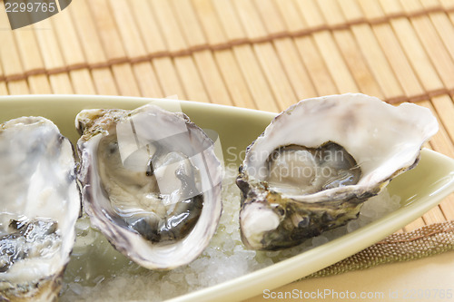 Image of Oysters Natural