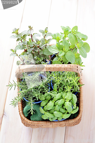 Image of basket of herbs