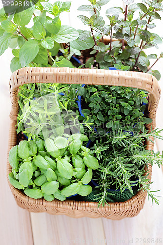 Image of basket of herbs