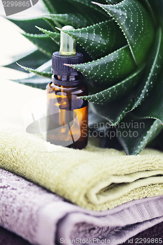 Image of aloe vera essential oil