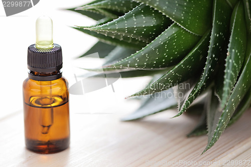 Image of aloe vera essential oil