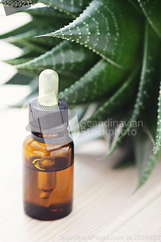 Image of aloe vera essential oil