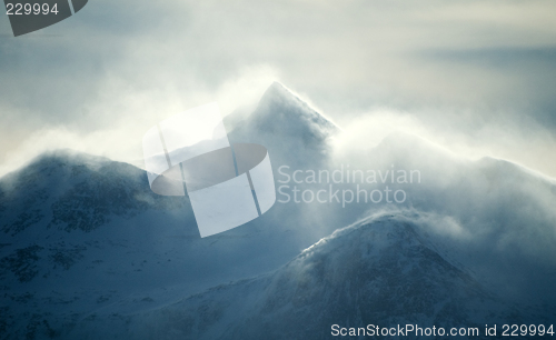 Image of Cold Mountain