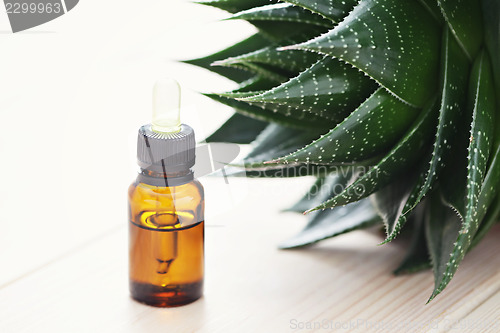 Image of aloe vera essential oil