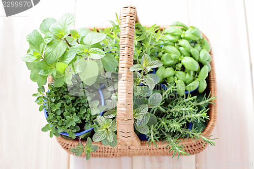 Image of basket of herbs