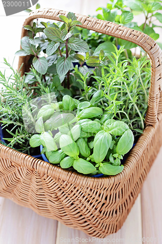 Image of basket of herbs