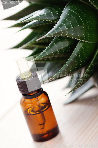 Image of aloe vera essential oil