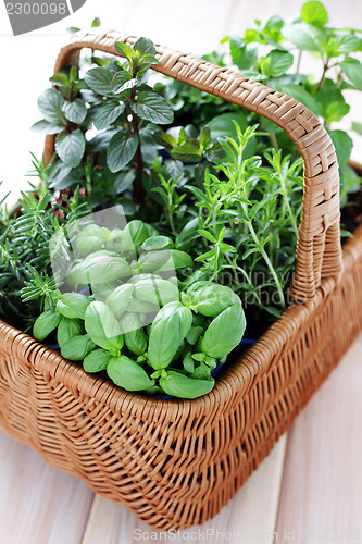 Image of basket of herbs