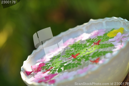 Image of water cup with beautiful flowers background