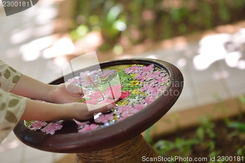 Image of female hand and flower in water