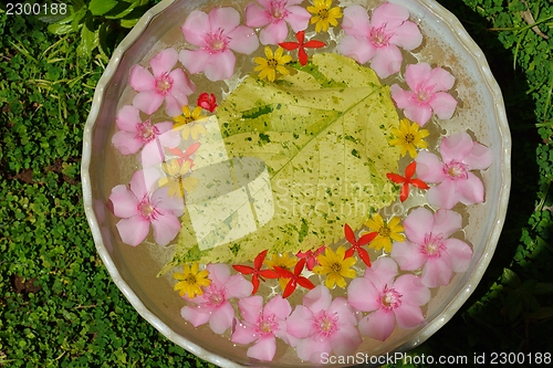 Image of water cup with beautiful flowers background