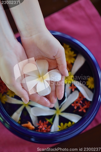 Image of female hand and flower in water