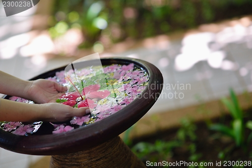 Image of female hand and flower in water