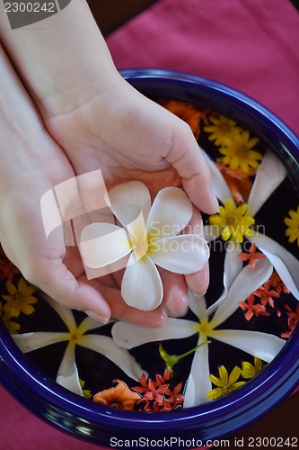 Image of female hand and flower in water