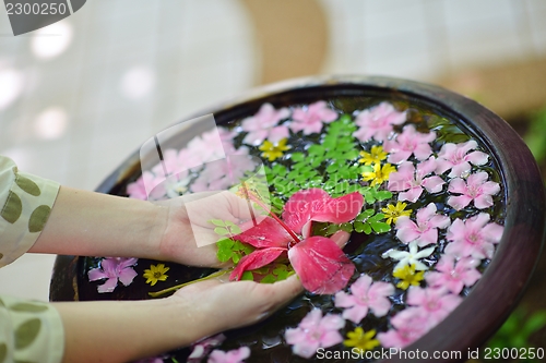 Image of female hand and flower in water